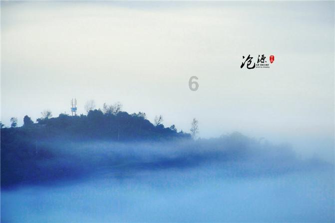 春雨直播app