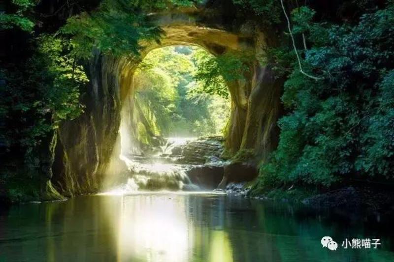 拯救蝙蝠家族