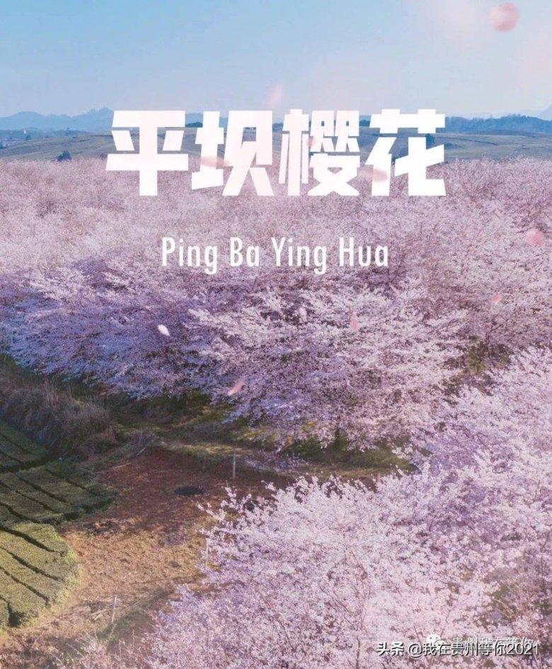 救援活泼小男孩