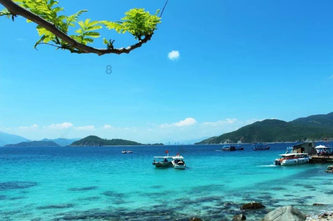 新春走基层|吃喝玩乐购 芜湖这个小镇让你体验一站式年货节