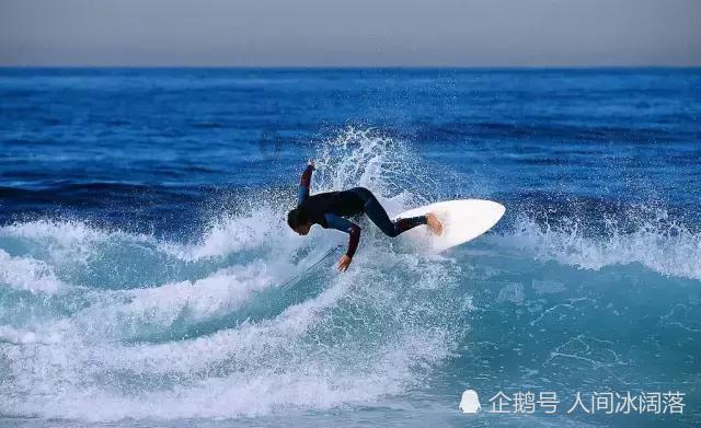 内蒙小羊腿为什么是山东发货？