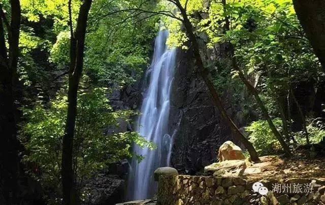 拯救精灵的土地7